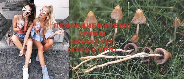 сатива Алексеевка