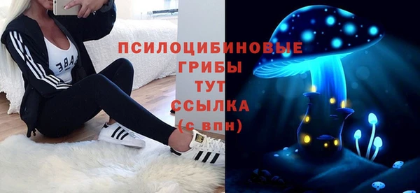 стафф Алексин
