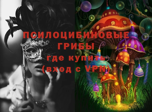 сатива Алексеевка