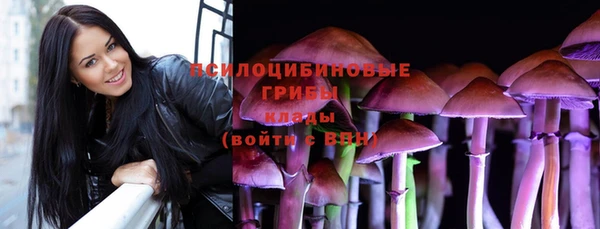 ПСИЛОЦИБИНОВЫЕ ГРИБЫ Алзамай
