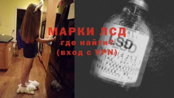 стафф Алексин