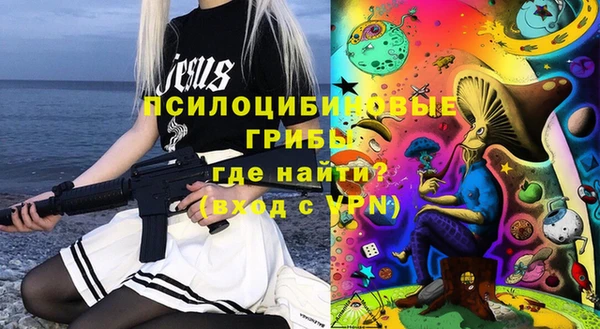 ПСИЛОЦИБИНОВЫЕ ГРИБЫ Алзамай